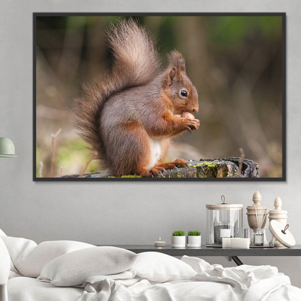 Scoiattolo 5d Diy Kit Diamond Painting Pittura Di Diamante NO1450