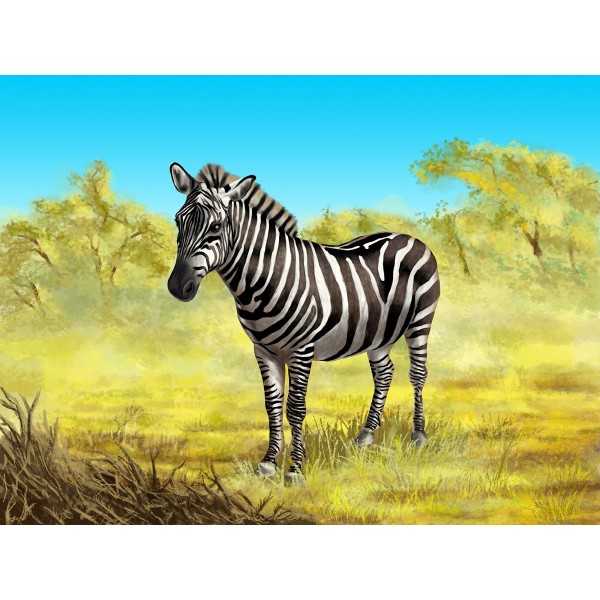 Zebra 5d Diy Kit Diamond Painting Pittura Di Diamante NO1416
