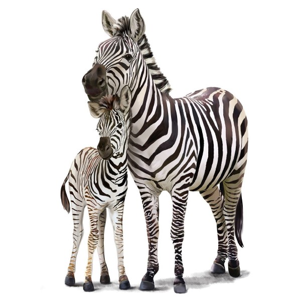 Zebra 5d Diy Kit Diamond Painting Pittura Di Diamante NO1414