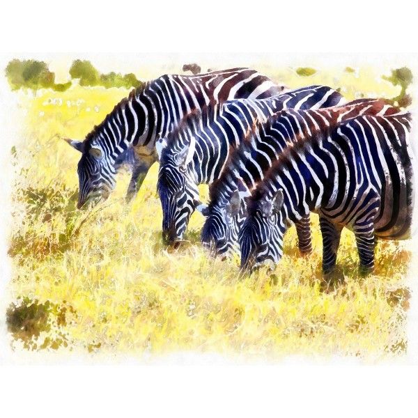 Zebra 5d Diy Kit Diamond Painting Pittura Di Diamante NO1413