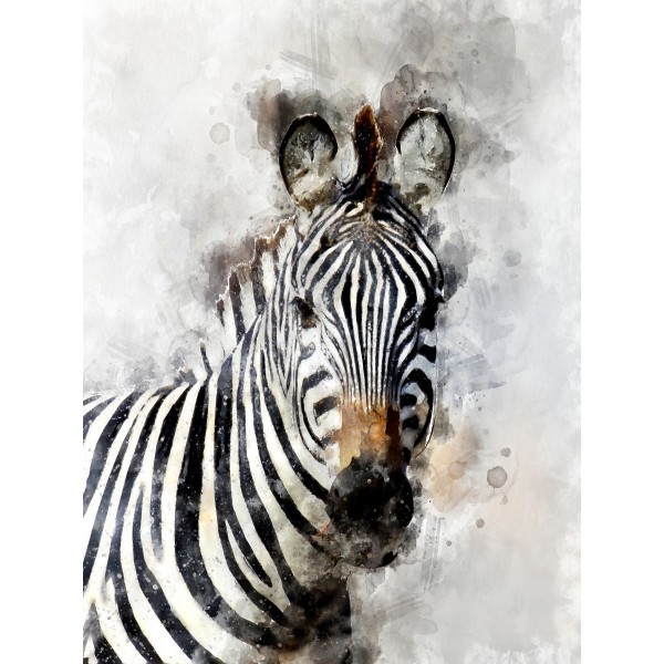 Zebra 5d Diy Kit Diamond Painting Pittura Di Diamante NO1410