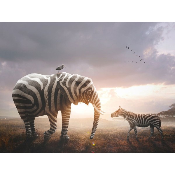 Zebra 5d Diy Kit Diamond Painting Pittura Di Diamante NO1409