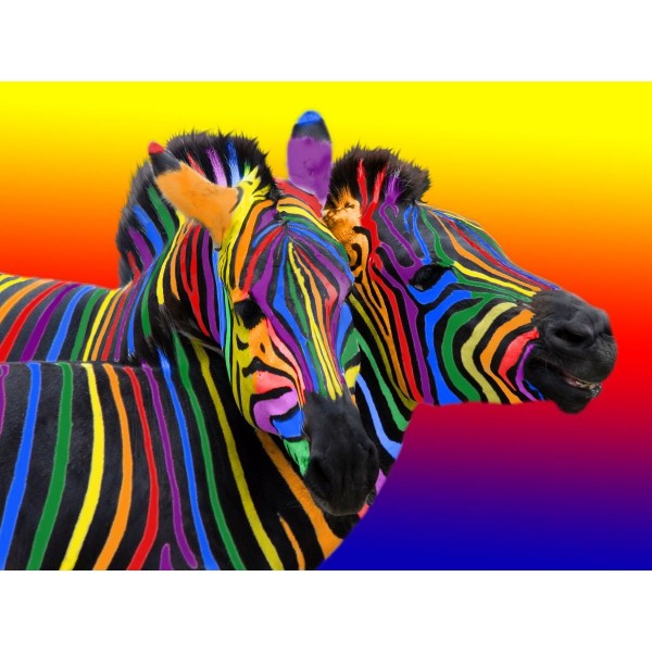 Zebra 5d Diy Kit Diamond Painting Pittura Di Diamante NO1408