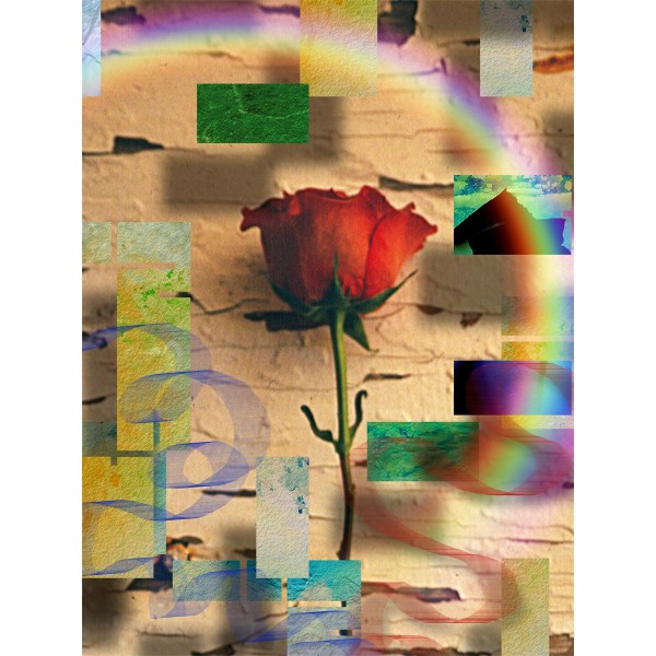 Rose 5d Diy Kit Diamond Painting Pittura Di Diamante NO1381