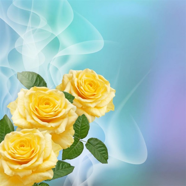 Rose 5d Diy Kit Diamond Painting Pittura Di Diamante NO1374