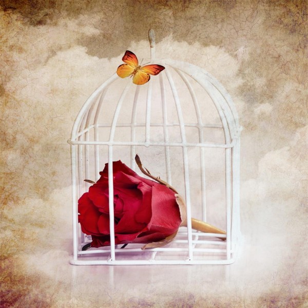 Rose 5d Diy Kit Diamond Painting Pittura Di Diamante NO1371