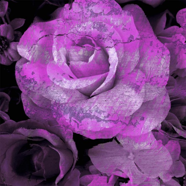 Rose 5d Diy Kit Diamond Painting Pittura Di Diamante NO1367