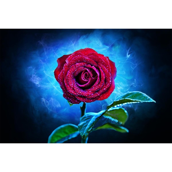 Rose 5d Diy Kit Diamond Painting Pittura Di Diamante NO1361