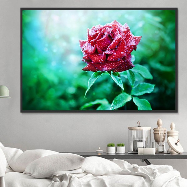 Rose 5d Diy Kit Diamond Painting Pittura Di Diamante NO1360