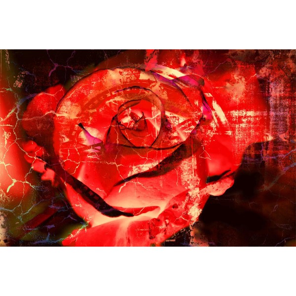 Rose 5d Diy Kit Diamond Painting Pittura Di Diamante NO1357