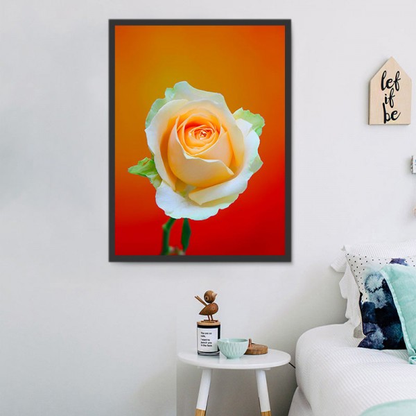 Rose 5d Diy Kit Diamond Painting Pittura Di Diamante NO1352