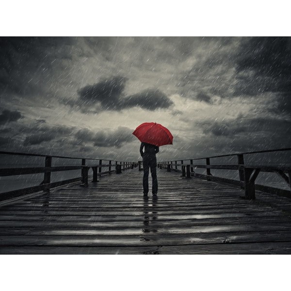 Ponte 5d Diy Kit Diamond Painting Pittura Di Diamante NO1193