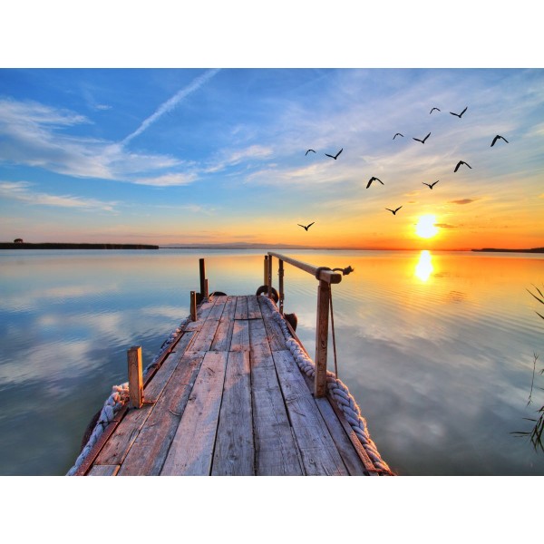 Ponte 5d Diy Kit Diamond Painting Pittura Di Diamante NO1182