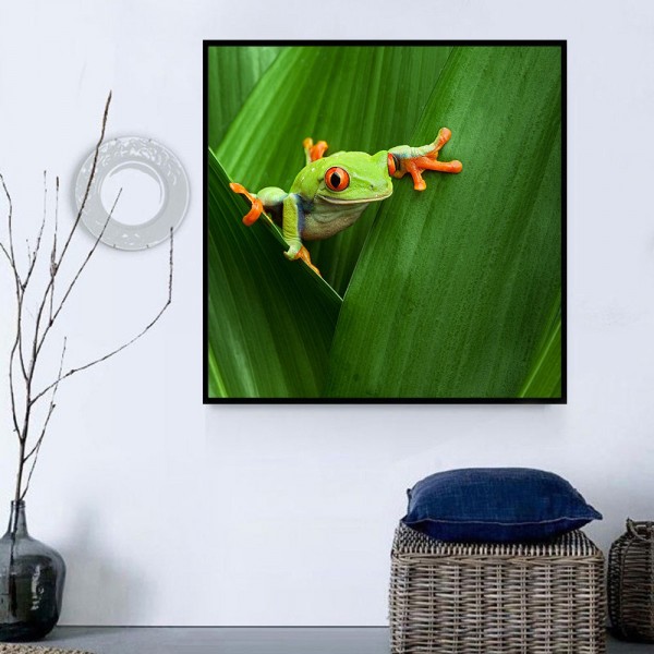 Rana 5d Diy Kit Diamond Painting Pittura Di Diamante NO1115