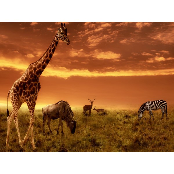 Giraffa 5d Diy Kit Diamond Painting Pittura Di Diamante NO918