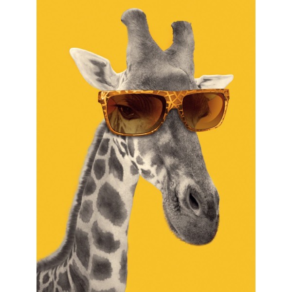 Giraffa 5d Diy Kit Diamond Painting Pittura Di Diamante NO917