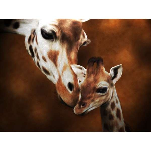 Giraffa 5d Diy Kit Diamond Painting Pittura Di Diamante NO916