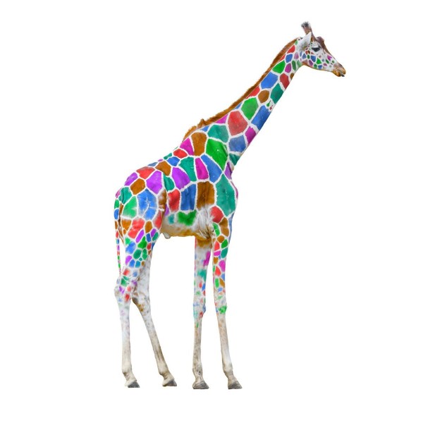 Giraffa 5d Diy Kit Diamond Painting Pittura Di Diamante NO902