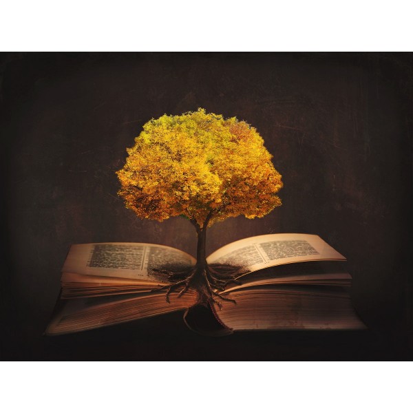 Paese Delle Fate 5d Diy Kit Diamond Painting Pittura Di Diamante NO780