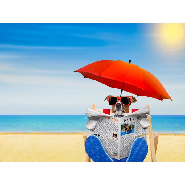 Mare 5d Diy Kit Diamond Painting Pittura Di Diamante NO737