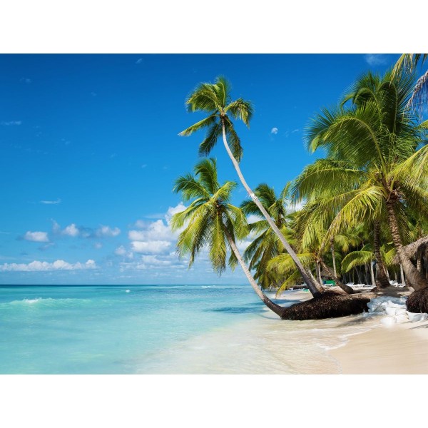 Mare 5d Diy Kit Diamond Painting Pittura Di Diamante NO736