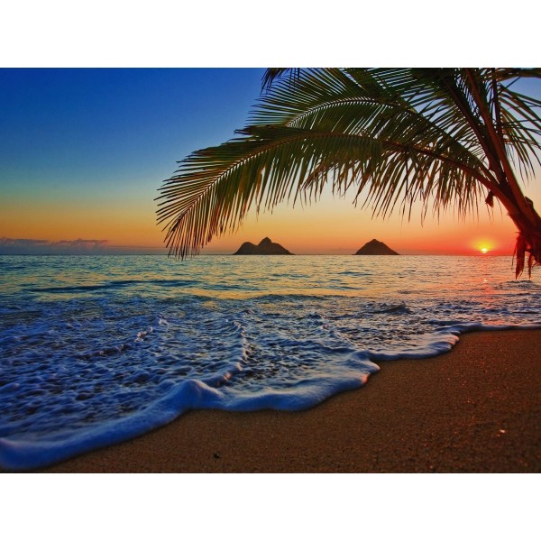 Mare 5d Diy Kit Diamond Painting Pittura Di Diamante NO731