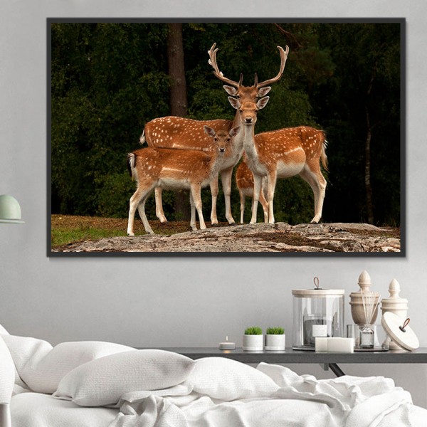 Cervo 5d Diy Kit Diamond Painting Pittura Di Diamante NO727