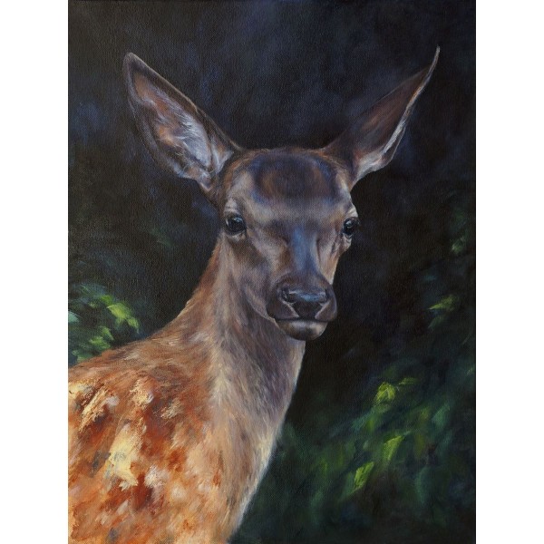 Cervo 5d Diy Kit Diamond Painting Pittura Di Diamante NO721