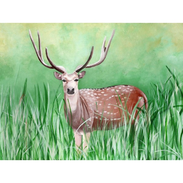 Cervo 5d Diy Kit Diamond Painting Pittura Di Diamante NO719