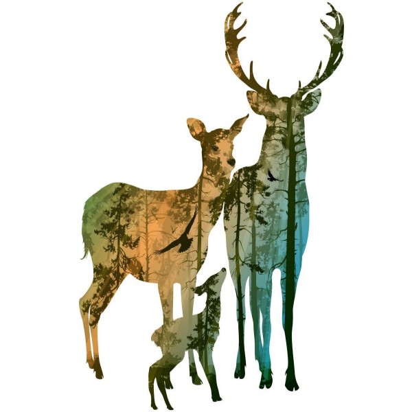 Cervo 5d Diy Kit Diamond Painting Pittura Di Diamante NO716