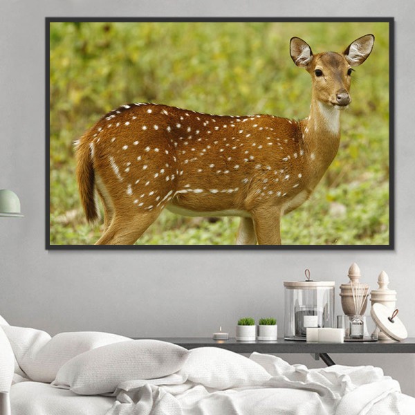 Cervo 5d Diy Kit Diamond Painting Pittura Di Diamante NO715