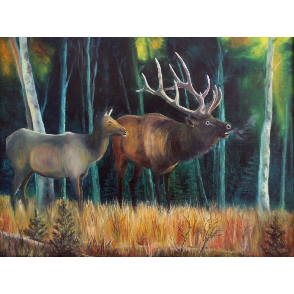 Cervo 5d Diy Kit Diamond Painting Pittura Di Diamante NO714