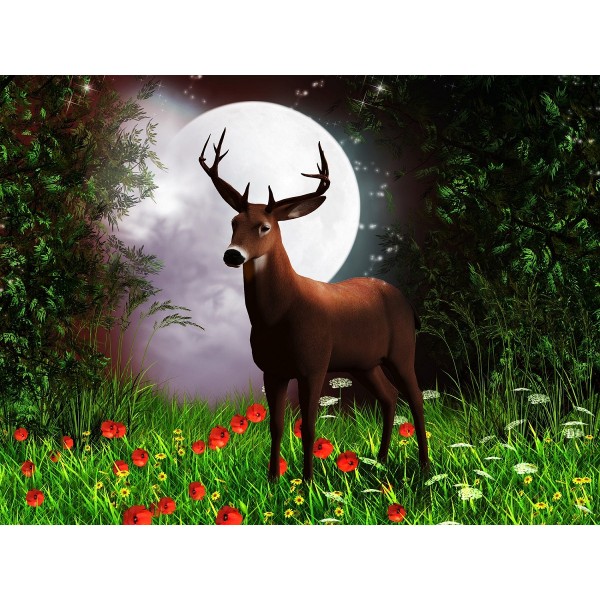 Cervo 5d Diy Kit Diamond Painting Pittura Di Diamante NO712