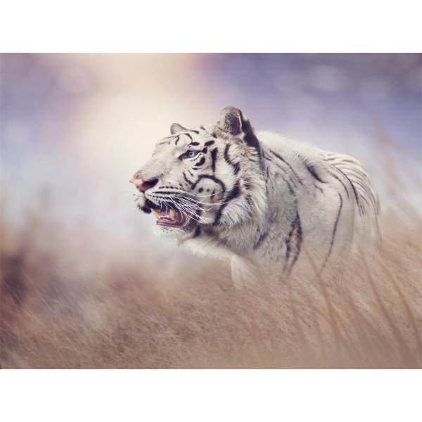 Tigre 5d Diy Kit Diamond Painting Pittura Di Diamante NO589