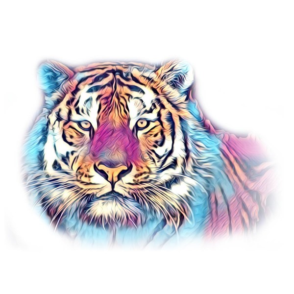 Tigre 5d Diy Kit Diamond Painting Pittura Di Diamante NO588