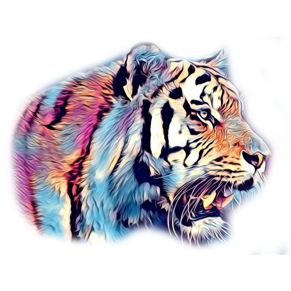 Tigre 5d Diy Kit Diamond Painting Pittura Di Diamante NO587