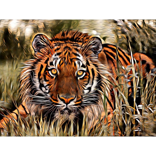 Tigre 5d Diy Kit Diamond Painting Pittura Di Diamante NO586