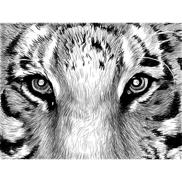 Tigre 5d Diy Kit Diamond Painting Pittura Di Diamante NO584