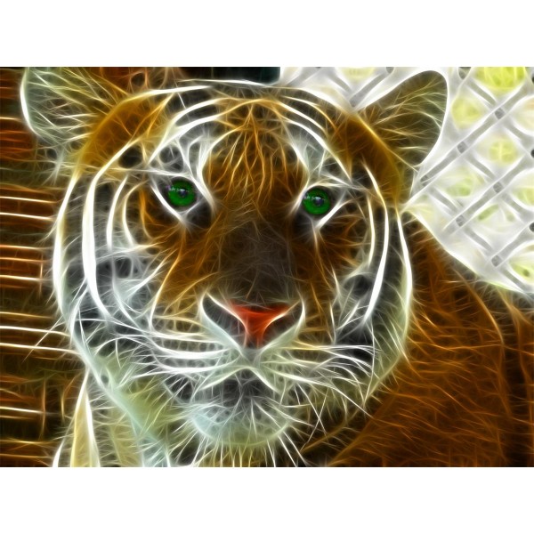 Tigre 5d Diy Kit Diamond Painting Pittura Di Diamante NO582