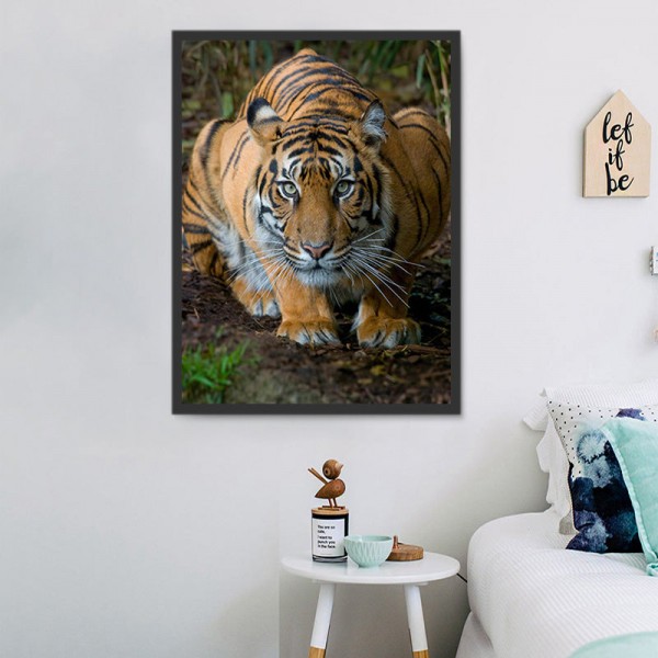 Tigre 5d Diy Kit Diamond Painting Pittura Di Diamante NO581