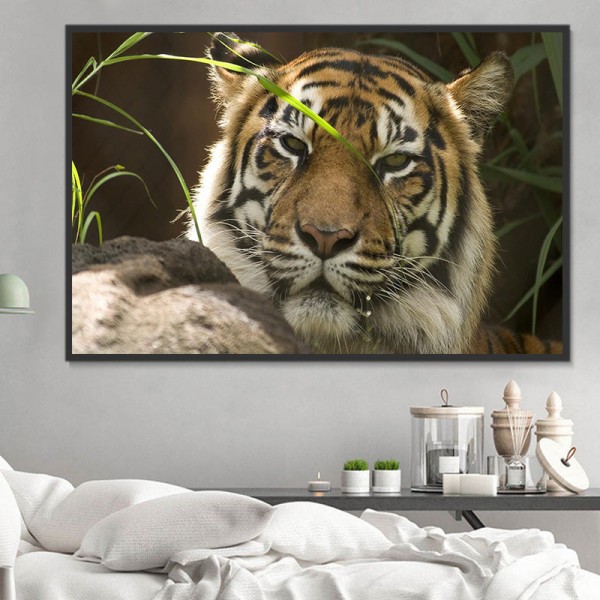 Tigre 5d Diy Kit Diamond Painting Pittura Di Diamante NO578