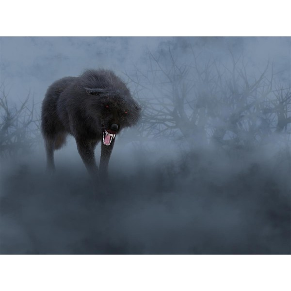 Lupo 5d Diy Kit Diamond Painting Pittura Di Diamante NO564