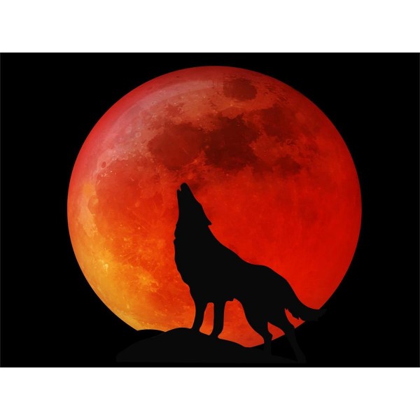 Lupo 5d Diy Kit Diamond Painting Pittura Di Diamante NO559