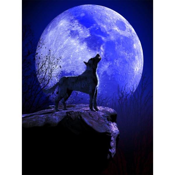 Lupo 5d Diy Kit Diamond Painting Pittura Di Diamante NO557