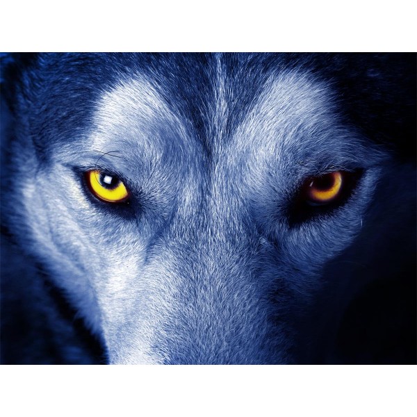 Lupo 5d Diy Kit Diamond Painting Pittura Di Diamante NO554