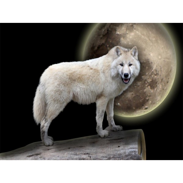 Lupo 5d Diy Kit Diamond Painting Pittura Di Diamante NO553