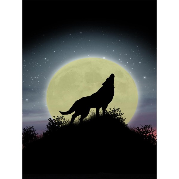 Lupo 5d Diy Kit Diamond Painting Pittura Di Diamante NO552