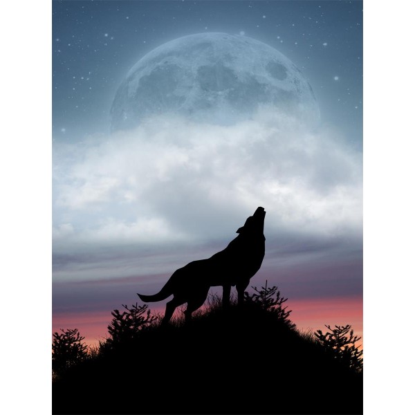 Lupo 5d Diy Kit Diamond Painting Pittura Di Diamante NO551
