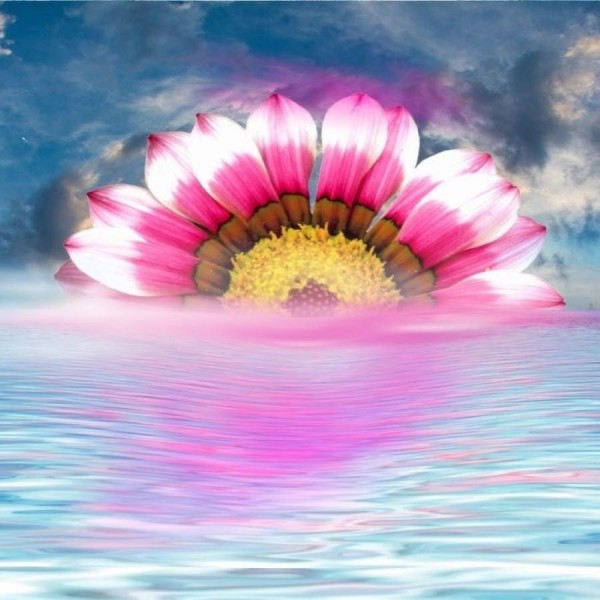 Sogno 5d Diy Kit Diamond Painting Pittura Di Diamante NO542