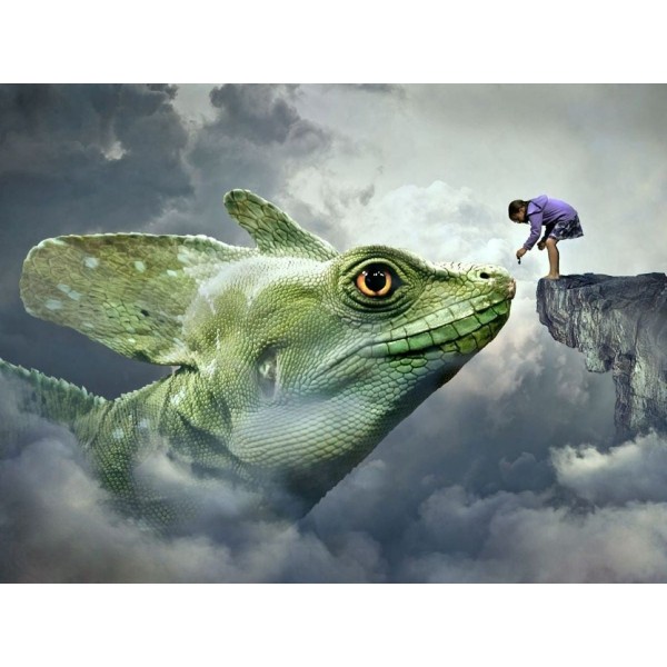 Sogno 5d Diy Kit Diamond Painting Pittura Di Diamante NO539